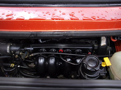 engine bay 1.jpeg